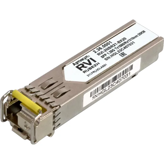RVI RVI-2NSR21-BX20-I